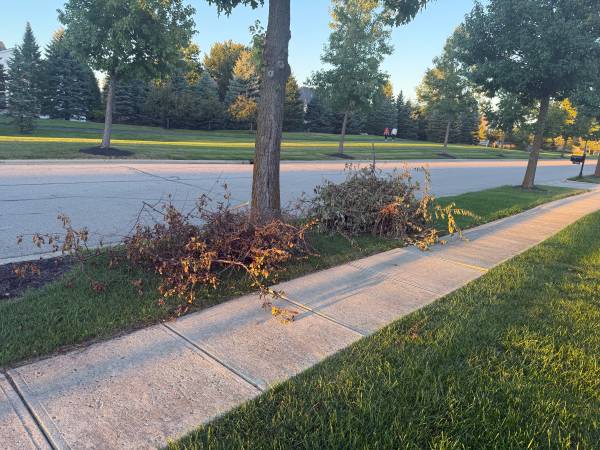 Removing yard waste 1