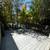 Classic 1 Bd/1 Bth Craftsman home 14 thumbnail