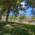CLEAN & QUIET 2 BED 1 BATH CONDO 21 thumbnail