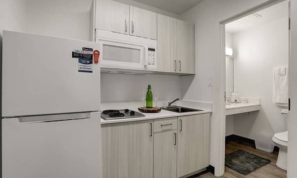 Siegel Rewards Program 1