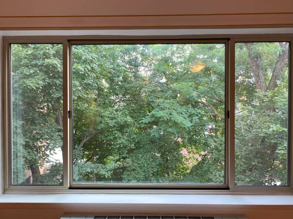 $1,775 / 527ft2 - Estudio Grande, Soleado y Tranquilo en Último Piso (Cleveland Park Metro)63822293276931123