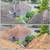 ROOF CLEANING/POWER WASHING/MOSS REMOVAL/PRESSURE WASHING/COMMERCIAL RESIDENTIAL 3 thumbnail
