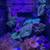 Aquarium Maintenance Technician 1 thumbnail