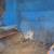 10-yard trash compactor trailer 8 thumbnail