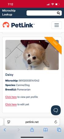 Dog Missing 1