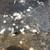 Sidewalk Slab Repair – Rat-Proof 1 thumbnail