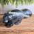 Big Sky Carvers Wood Skunk 1 thumbnail