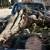 San Gabriel Palm and Tree care Services 12 thumbnail