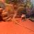 Rehoming bearded dragon Female 3 thumbnail