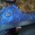 CHRISTIAN LOUBOUTIN LOUIs ORLaTo 5 thumbnail