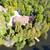 38 RANKIN BRIDGE ROAD South Bruce Peninsula, Ontario N0H2G0 1 thumbnail