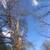 Tree removal service  and landscaping 3 thumbnail