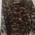 Western Men's Big Chief Camo Reversible Jacket 3 thumbnail