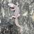 ** LEOPARD GECKOS ** 2 thumbnail