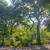 Huge Stunning Sunny East Vil 2br LOFT, WD in unit, steps to 6, VIDEO! 14 thumbnail