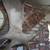 Alaskan Moose Antler Sheds for home Decor, unmatched set 3 thumbnail