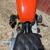 2001 Harley-Davidson sportster 1200 XLS 11 thumbnail