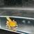 Axolotls 7 thumbnail