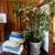 Estate Sale in West Hills! 14 thumbnail
