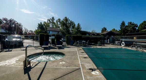 1BD 1BA, Elevator in Select Buildings, In Bellingham 1