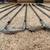 8 ZOID Pro II Mizuno Extended length Irons!! 6 thumbnail