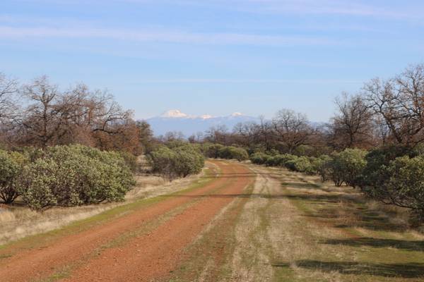 $149,000 COTTONWOOD LOT 22 WITH 40 ACRES & VIEWS AND MULTIPLE BUILD SITES (COTTONWOOD)63972383178754123