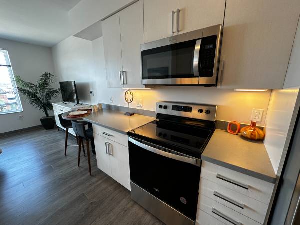 $1,649 / 431ft2 - Luxury  Studio for Rent!! TWO month's FREE!! (409 Elm St)63931786883074123