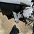 2019 Forest River Wolf Pup Black Label 16FQ 6 thumbnail