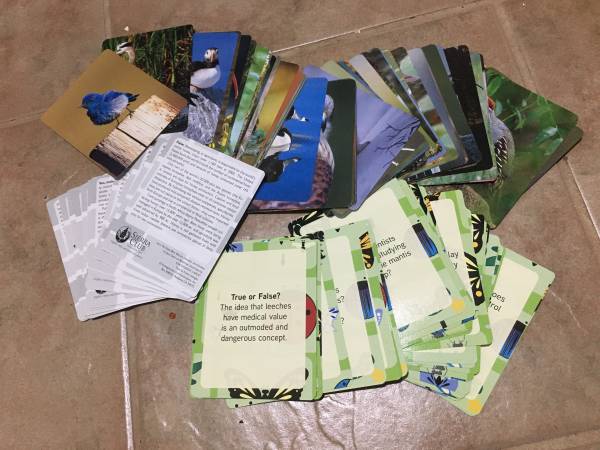 Sierra Club info cards-Birds & Invertebrates 1