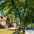 Fully Renovated Detached Brick Single Family 6 thumbnail