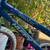 Beautiful Huffy Seastar 4 thumbnail