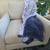 ​Home Reflections Oversized Reversible Plush Throw – 60"x80" 3 thumbnail