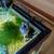 Tropical Aquarium Tank and Accessories 6 thumbnail