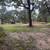Real Estate:  Land for sale 2 thumbnail