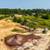 13 Acres in Chase City, VA 2 thumbnail