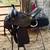 Western trail saddle with breast collar and headset 2 thumbnail