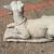 3 large vintage  statues, old...DOG, rabbit...and bunny pot holder 13 thumbnail