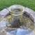 Large Pyrex carboy shape bottle - make some money 2 thumbnail