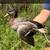 Call Ducks 1 thumbnail