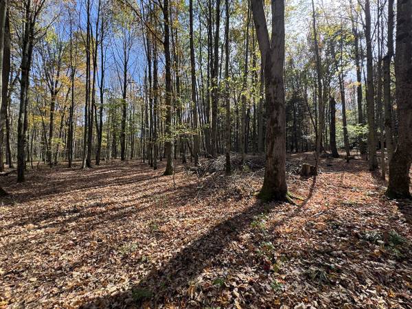 $234,900 / 400ft2 - 99 acres WOODS and TILLABLE LAND with CABIN and POND in Belfast NY (Belfast, NY)63986350338690121
