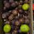 Fig Tree 7 thumbnail
