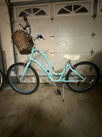 Townie Bike 1