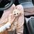 pups Smartmaltipoo 2 thumbnail