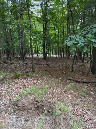 $2,995,000 Propiedad Montañosa Impresionante en el Condado de Fannin, GA 150 acres63661435380227122