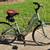 Trek Verve 3 1 thumbnail