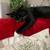 Senior cat pair ! 7 thumbnail