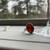 Chic Sterling Silver Rings 1 thumbnail