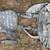 High Speed Gear: Patrol Chest Rig 4 thumbnail