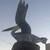 )))Pelicans for the patio. 3 thumbnail