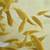 Cichlids 7 thumbnail